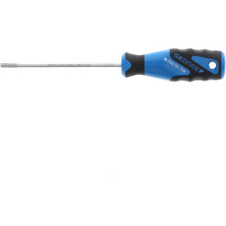 Atsuktuvas Torx T20 100 mm SC2163BTXT20