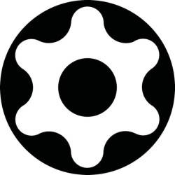 M10 antgaliai Torx 50, su skylute 66151505030