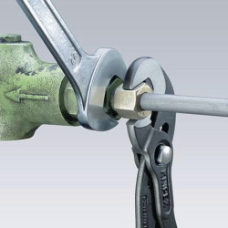 Veržliarakčio replės 250 mm TA8741250