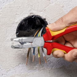 Išardymo replės TA1346165