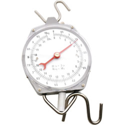 Greito svėrimo svarstyklės 10 kg 486781