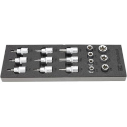 16 vnt. Torx 1/2" galvučių rinkinys TT800503