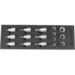 16 vnt. Torx 1/2" galvučių rinkinys TT800503