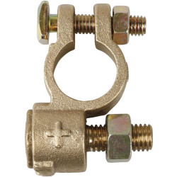 Akumuliatoriaus teigiamas polius 484118