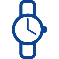 Ličio baterijos 1,5 V AAA (4 vnt.) VT06225