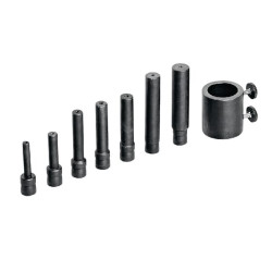 Erškėčių rinkinys C61216