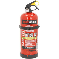 Gesintuvas 2 kg 55a 233b c milteliai 1332100012