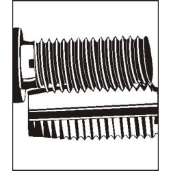 V formos ritė M14x1.25x12.4 540505320