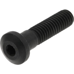 Tvirtinimo dangtelio varžtas SPSCR15