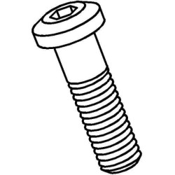 Tvirtinimo dangtelio varžtas SPSCR15