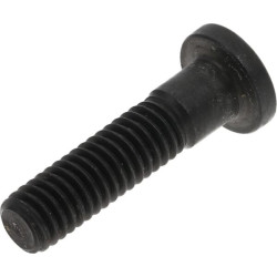 Tvirtinimo dangtelio varžtas SPSCR15