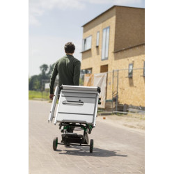 Stalinis diskinis pjūklas C10RJWAZ