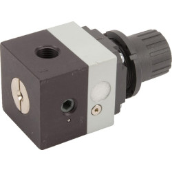 Tikslus reguliatorius PR104M04