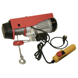 Elektrinė gervė 300/600kg EW300