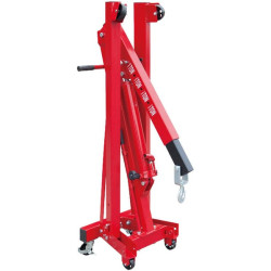 Mobilus dirbtuvių kranas 1000 kg T31002CXGS