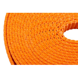 Reketo dirželis Tipas 50, 25kN 9m TS2050E