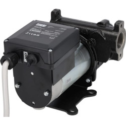 Dyzelinis siurblys Panther DC12/24V F0034116C