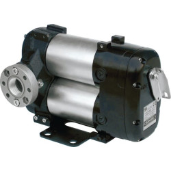 Dvigubas siurblys 12V su jungikliu F00363A0A