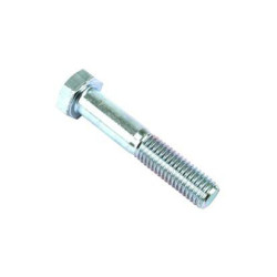 Šešiakampis stambus varžtas (x10) VLG1909