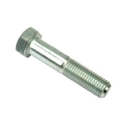 Šešiakampis stambus varžtas (x10) VLG1913