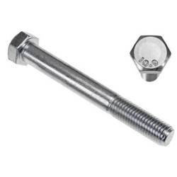 Didelio tempimo stiprumo šešiakampis varžtas (x10) VLG1963