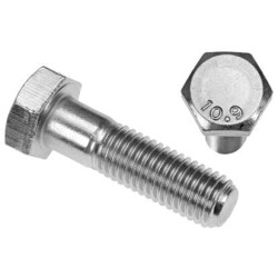 Didelio tempimo stiprumo šešiakampis varžtas (x10) VLG1930