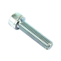 Varžtas su dangtelio galvute (x10) VLG5663