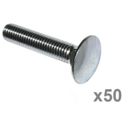 Varžtas su sriegiu DIN603 M10x50 (x50) VLG2356