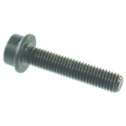 Flanšinis varžtas su cilindrine galvute. M6x25 625IR