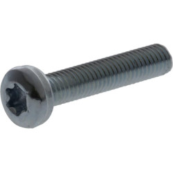 Varžtas su įstriža galvute, 3x16, torx, DIN7985, 7985316TX100