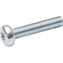 Varžtas su įstriža galvute, 5x25, torx, DIN7985, 7985525TX100