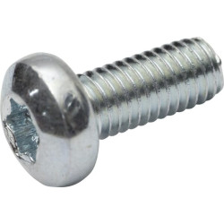 Varžtas su įstriža galvute, 5x12, torx, DIN7985, 7985512TX100