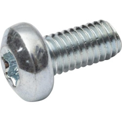 Varžtas su įstriža galvute, 5x10, torx, DIN7985, 7985510TX100