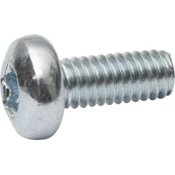 Varžtas su įstriža galvute, 4x10, torx, DIN7985, 7985410TX100