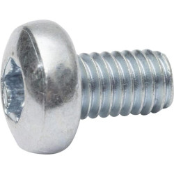 Varžtas su įstriža galvute, 6x10, torx, DIN7985, 7985610TX100