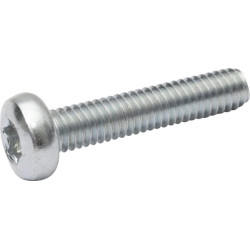 Varžtas su įstriža galvute, 4x20, torx, DIN7985, 7985420TX100