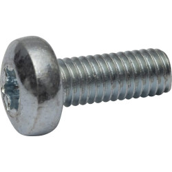 Varžtas su plokščia galvute, 6x12 torx, DIN7985, 7985612TX100