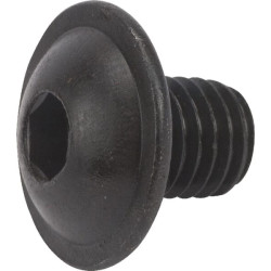 Varžtas su plokščia galvute M10x12 10.9 ULF1012