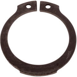 Seegerio žiedas 214100117N