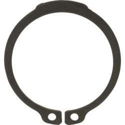 Seegerio žiedas 214100152N