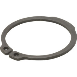 Seegerio žiedas 214100152N