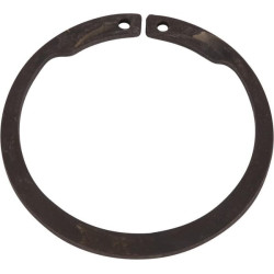 Seegerio žiedas F. 214190271N