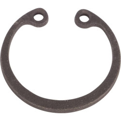 Seegerio žiedas 21499012110N