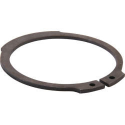 Fiksavimo žiedas 214100201N