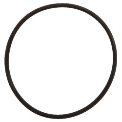 Fiksavimo žiedas 68x3-80 3751255