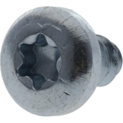 Savisriegis varžtas torx 5,5x13 mm 7981C5513TX100