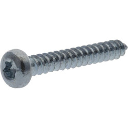 Savisriegis varžtas torx 3,9x22 mm 7981C3922TX100