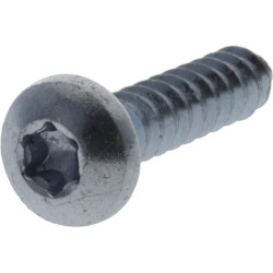 Savisriegis varžtas torx 4,8x22 mm 7981C4822TX100