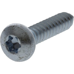 Savisriegis varžtas torx 6,3x32 mm 7981C6332TX100