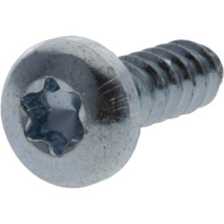 Savisriegis sraigtas torx 5,5x19 mm 7981C5519TX100